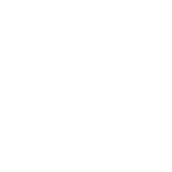 burpees bornies